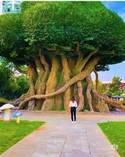 06:34:43 GMT-0500 (CDT)