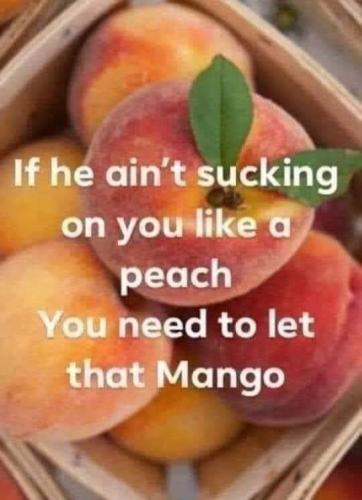 23:29:31 GMT-0400 (EDT)