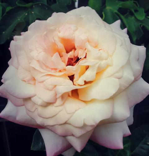 20:50:50 GMT-0700 (PDT)