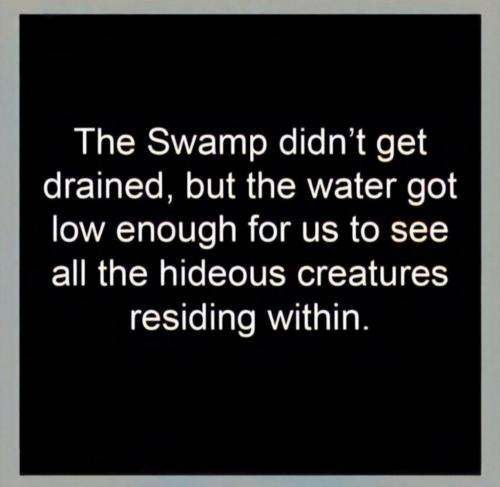 07:33:56 GMT-0500 (CDT).image