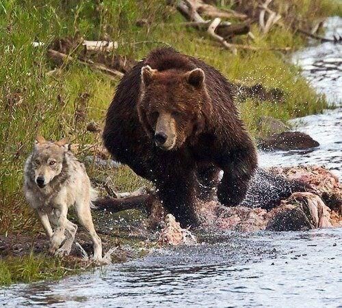 tumblr_7df782dbcdf1664bb1091856dd3a7a58_6dbf2116_500