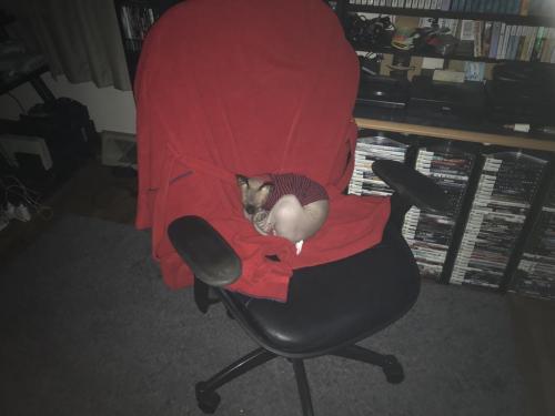 17:38:47 GMT-0400 (EDT).image