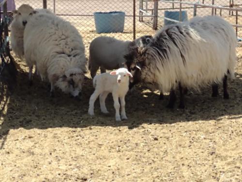 IMG_20210504_140530651