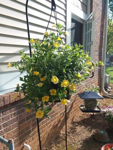 FB_IMG_1620584099976