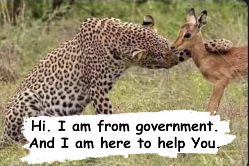 Government