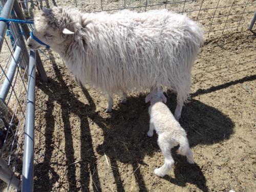 IMG_20210504_105847786