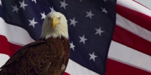 Screenshot_20210513-173130_The BL