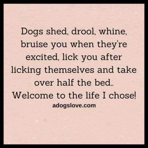 06:48:11 GMT-0500 (CDT)