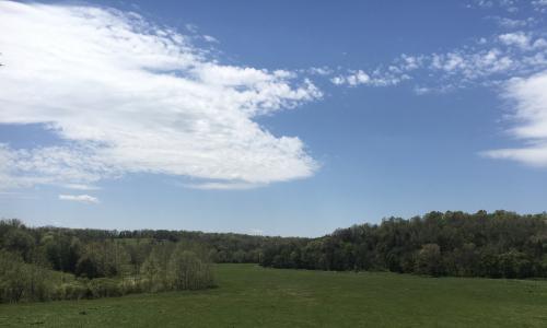 44CFB822-B2C1-4CC7-BF6D-FC99B4EDF8EA