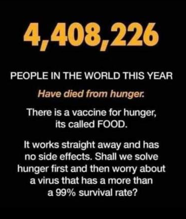 11:25:11 GMT-0400 (EDT).*