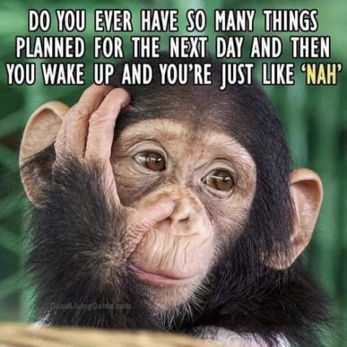 06:19:01 GMT-0400 (EDT)