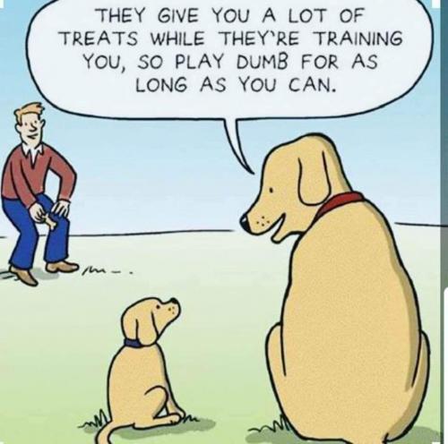 21:38:34 GMT-0500 (CDT)