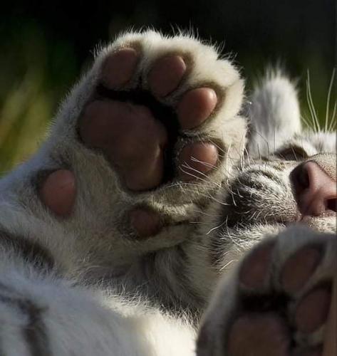 12:44:36 GMT-0500 (CDT)