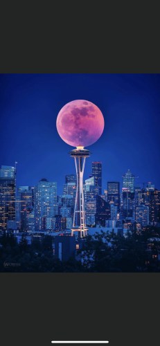May 24, 2021