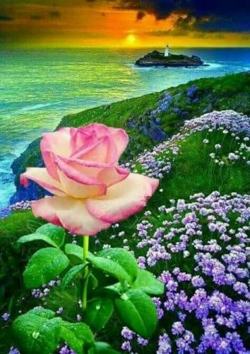 12:51:06 GMT-0500 (CDT)