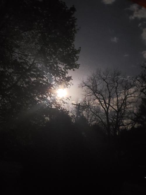 20210427_050812