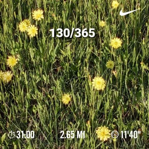 17:09:51 GMT-0500 (CDT)