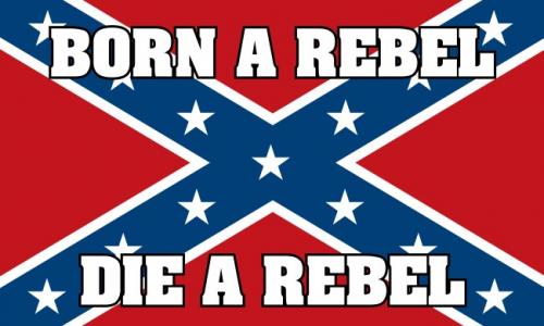 confederate-flag-born-to-be-a-rebel-1
