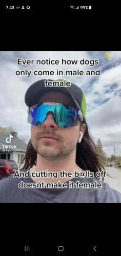 19:56:38 GMT-0700 (PDT)