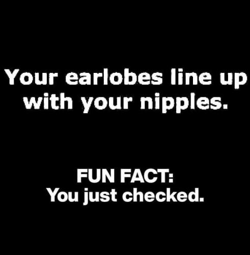 18:37:18 GMT-0400 (EDT)