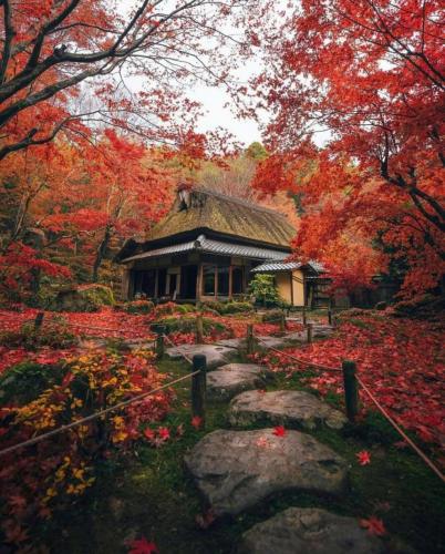 180186170_2846150865601371_3923943188776983162_n