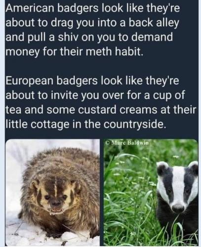 15:09:54 GMT-0600 (MDT).image