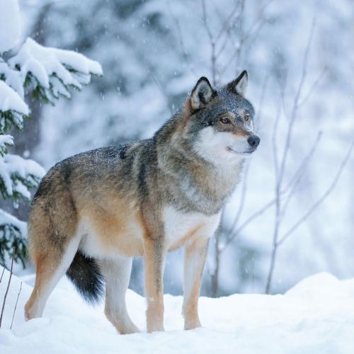 193035557_328863462141020_2891765923656629481_n