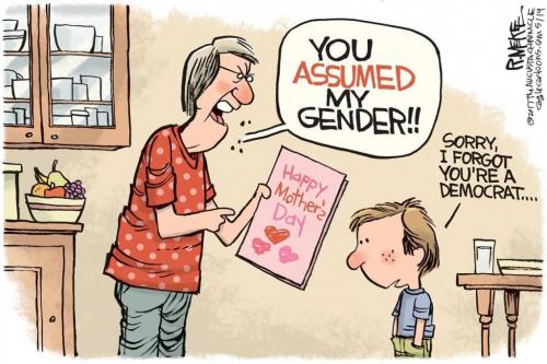 mothers day democrat