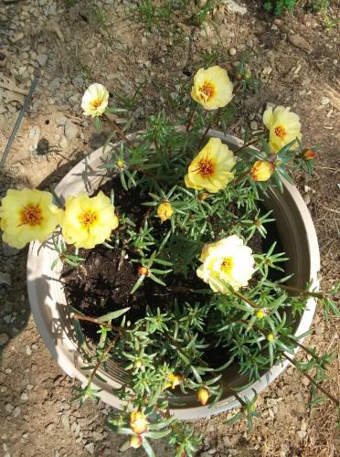 received_846407609567860