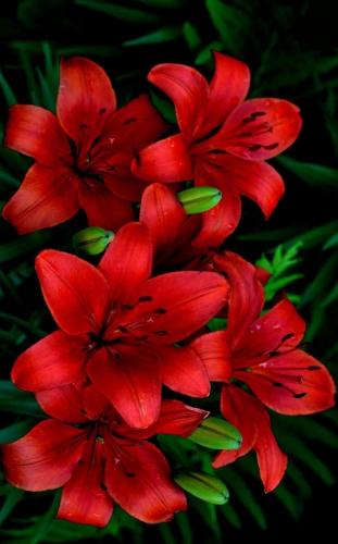 14:30:18 GMT-0500 (CDT)