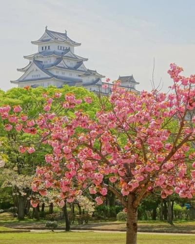 179034509_2845971835619274_8161072657416335973_n