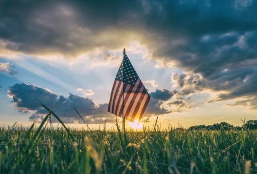 Flag in grass