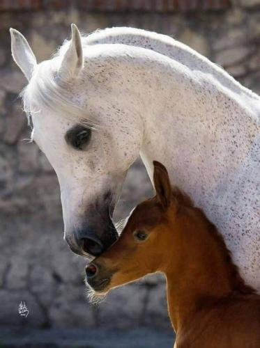 16:36:04 GMT-0500 (CDT)