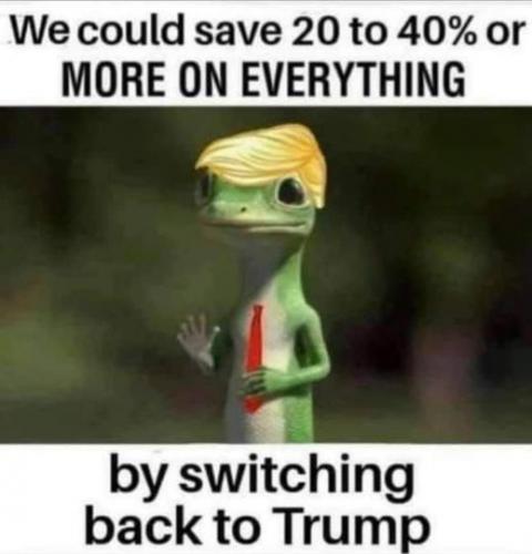 Trump - save 20 percent or more