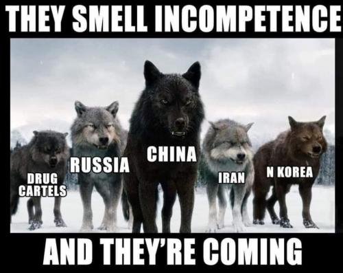 They Smell Incompetence - warning meme