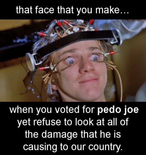 voters04