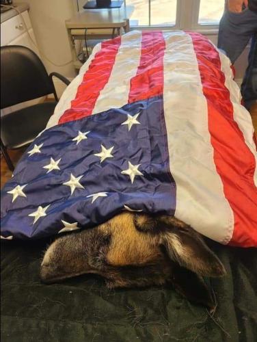 06:17:07 GMT-0400 (EDT)