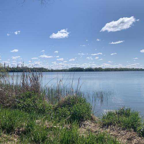 616217F5-A0FF-4E01-AD3B-45B5E1F0286D