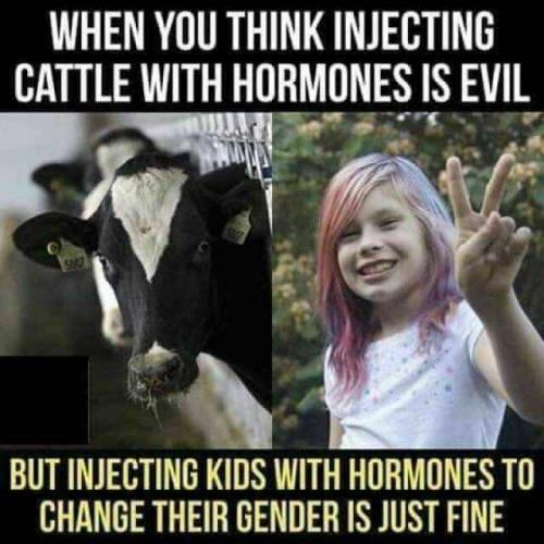 12:54:22 GMT-0500 (CDT)