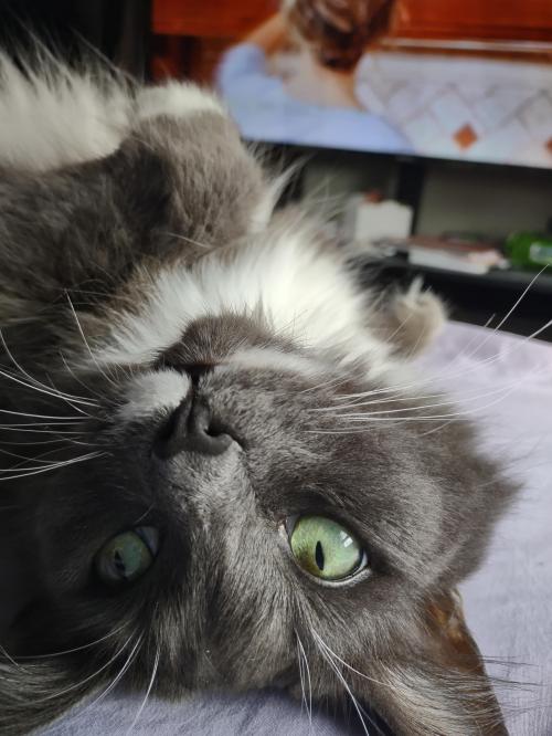 23:06:37 GMT-0500 (CDT)