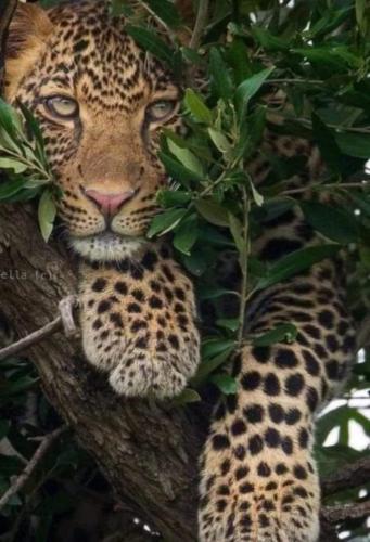 21:12:13 GMT-0500 (CDT)