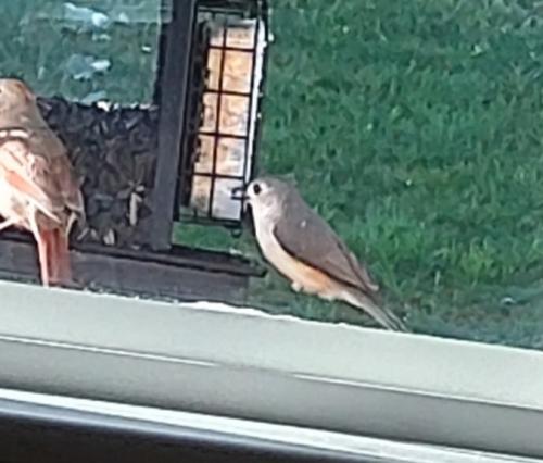 IMG_20210427_165402_706