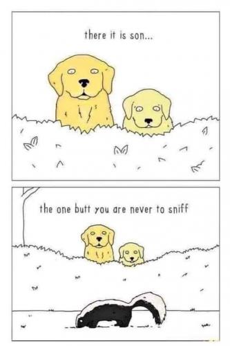 21:54:15 GMT-0500 (CDT)