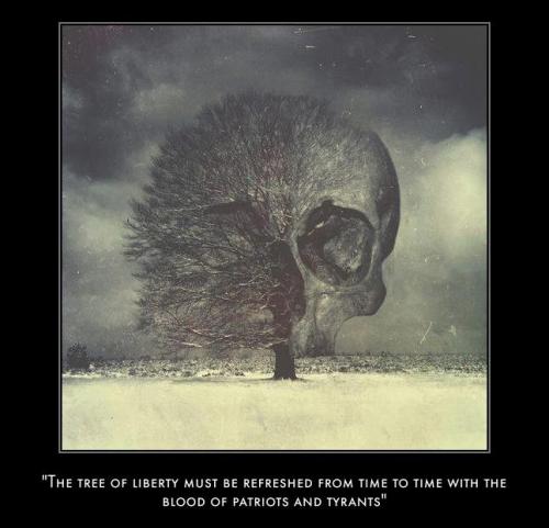 tree of liberty