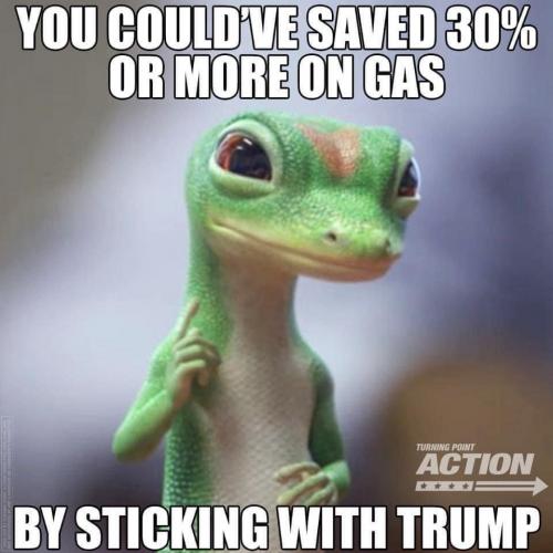 202103150921-Kt8HOkYU