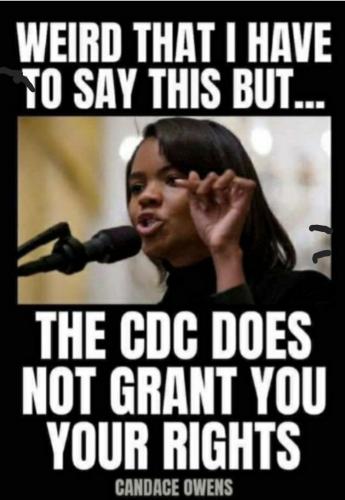 11:50:06 GMT-0400 (EDT)