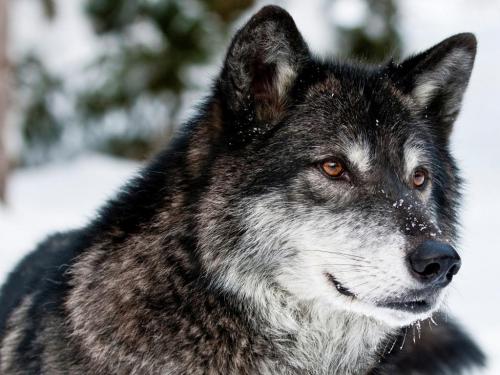 182564545_315308606829839_1878313617832531519_n