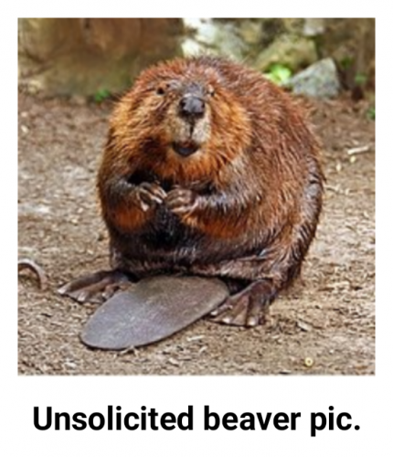 12:45:31 GMT-0500 (CDT)