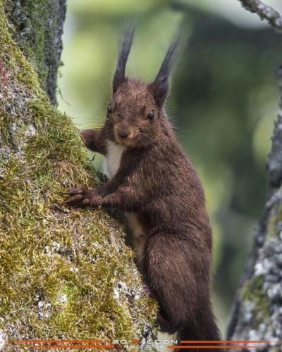 187950173_4122653381125083_387696423679253336_n