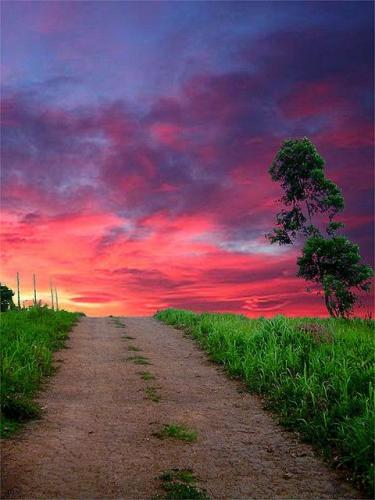 19:50:20 GMT-0500 (CDT)